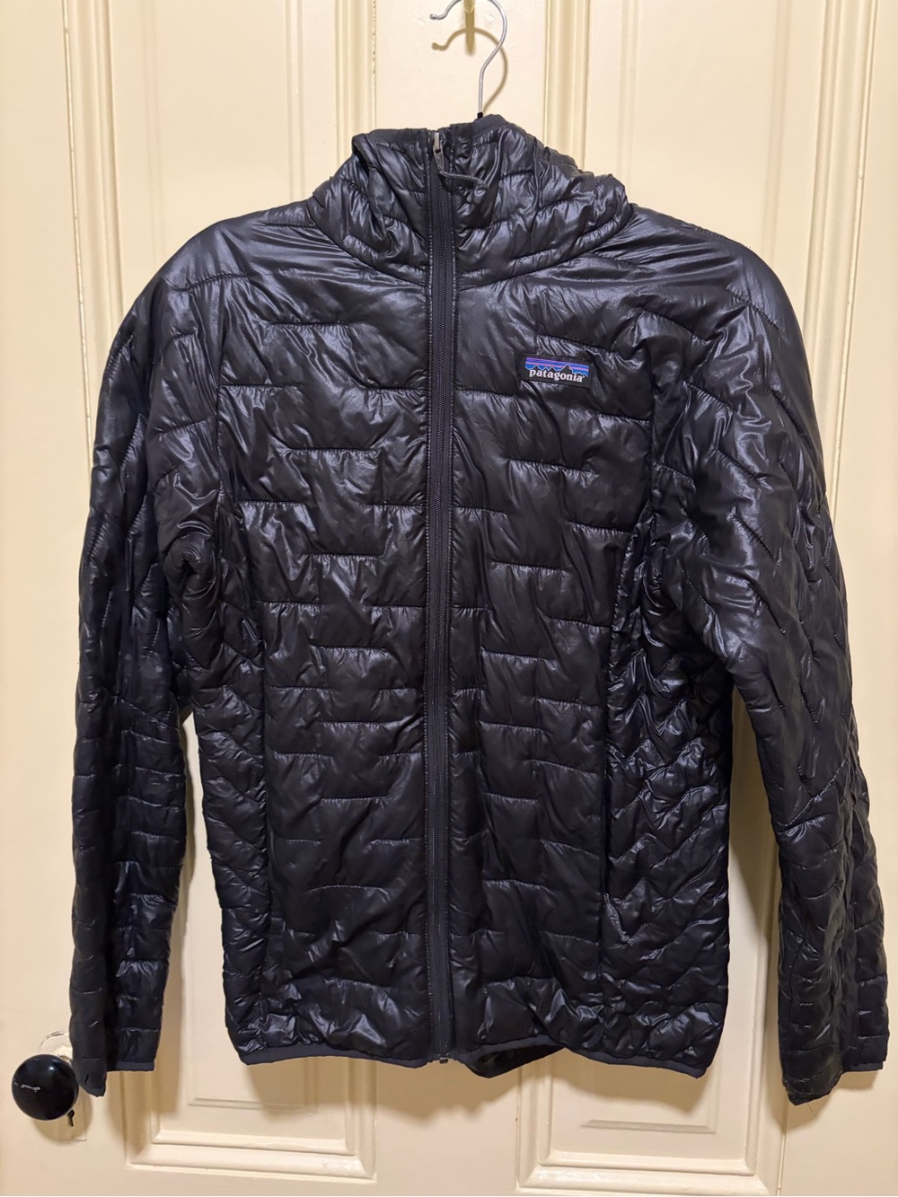 Patagonia women’s micro puff hoody